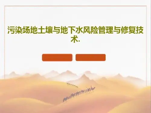 污染场地土壤与地下水风险管理与修复技术.共54页
