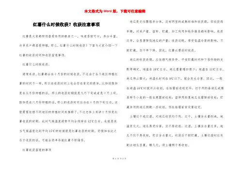 红薯什么时候收获？收获注意事项