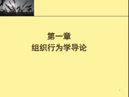 组织行为学完整版课件全套ppt教学教程最全整套电子讲义幻灯片