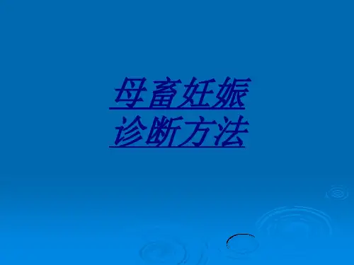 母畜妊娠诊断方法讲义