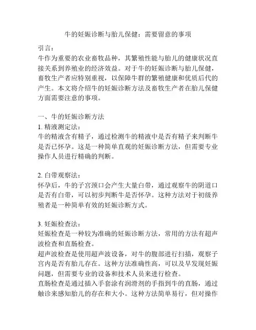 牛的妊娠诊断与胎儿保健：需要留意的事项