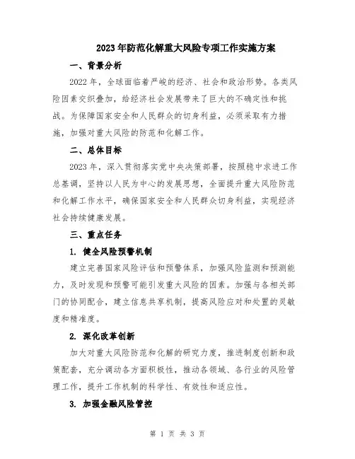 2023年防范化解重大风险专项工作实施方案