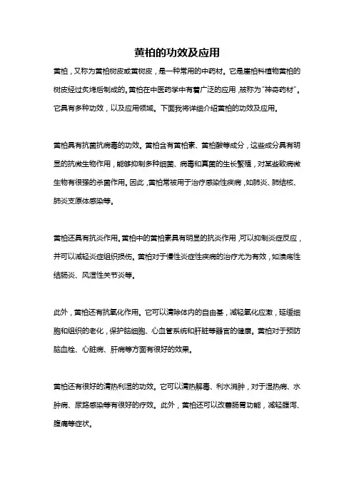 黄柏的功效及应用
