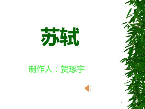 苏轼全集PPT课件