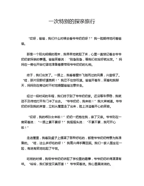 一次特别的探亲旅行