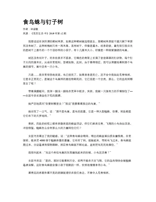 食鸟蛛与钉子树