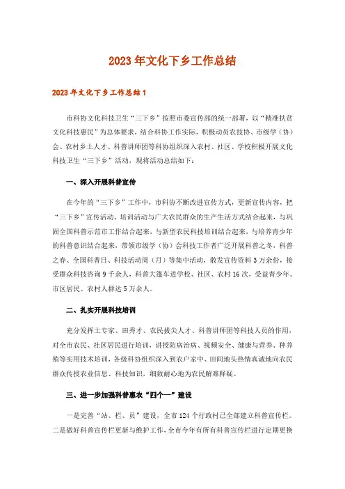 2023年文化下乡工作总结