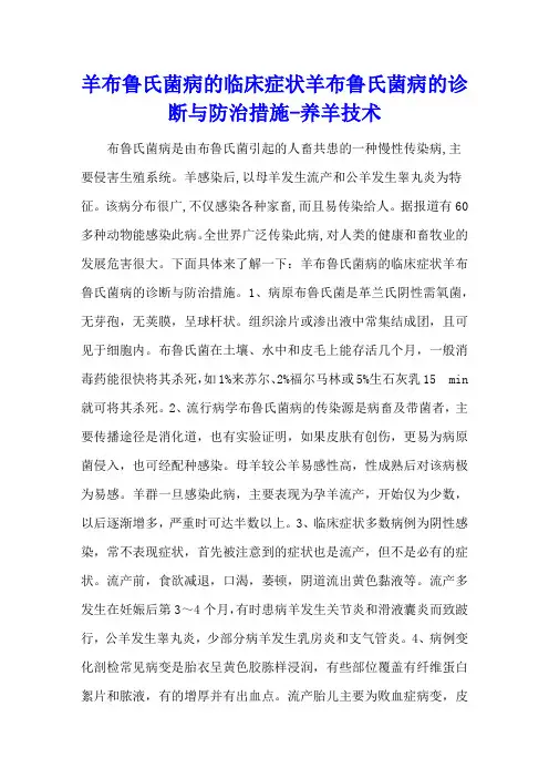羊布鲁氏菌病的临床症状 羊布鲁氏菌病的诊断与防治措施 - 养羊技术