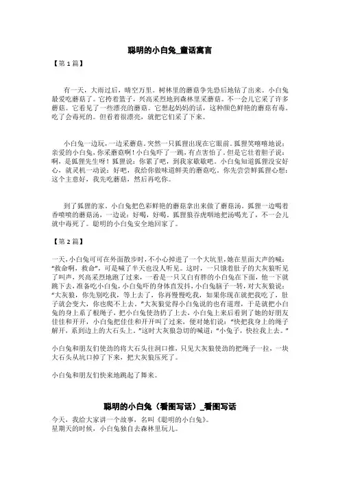 聪明的小白兔(看图写话)_看图写话