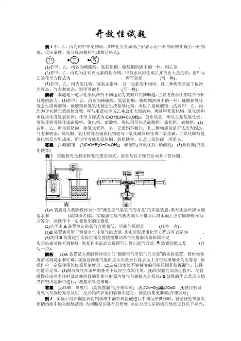 2020年中考化学专题复习热点题型解读：开放性考试试题1