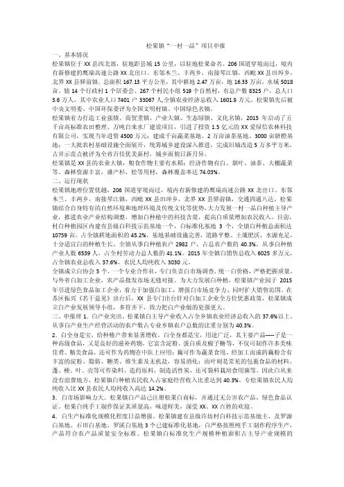 松果镇“一村一品”项目申报