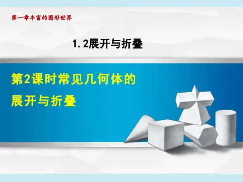 北师版七年级上册数学 第1章 丰富的图形世界    常见几何体的展开与折叠