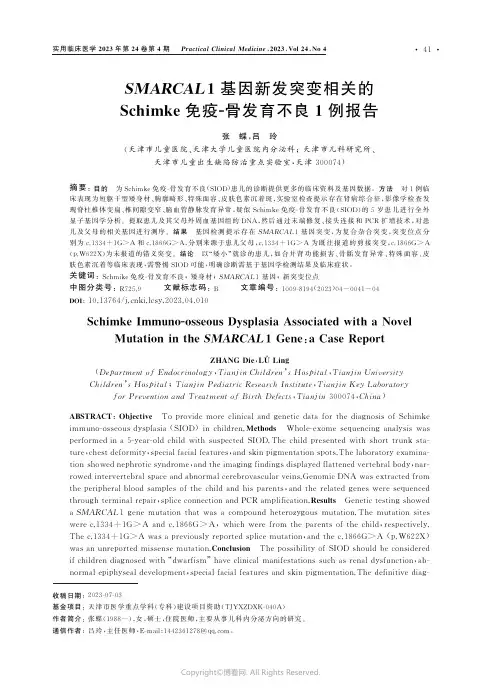 SMARCAL１基因新发突变相关的Schimke免疫Ｇ骨发育不良１例报告