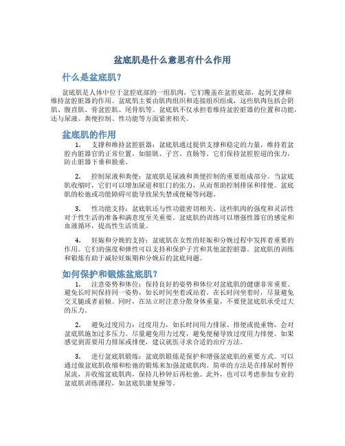 盆底肌是什么意思有什么作用