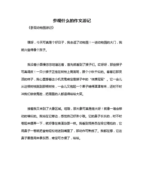 参观什么的作文游记