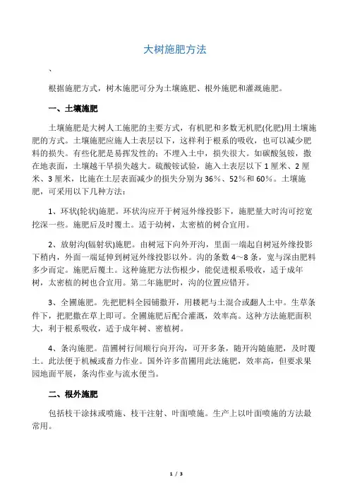 大树施肥方法