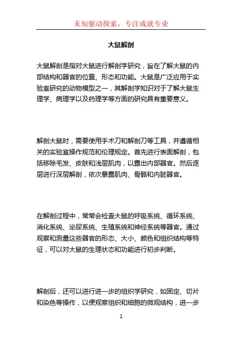 大鼠解剖 (2)