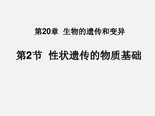 《性状遗传的物质基础》公开课优秀课件