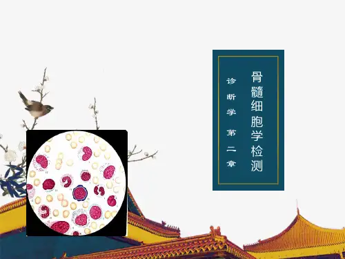 诊断学骨髓细胞学检测