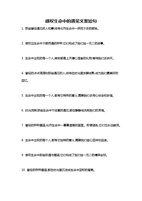感叹生命中的遇见文案短句