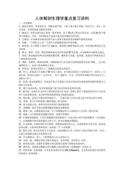 人体解剖生理学重点复习资料