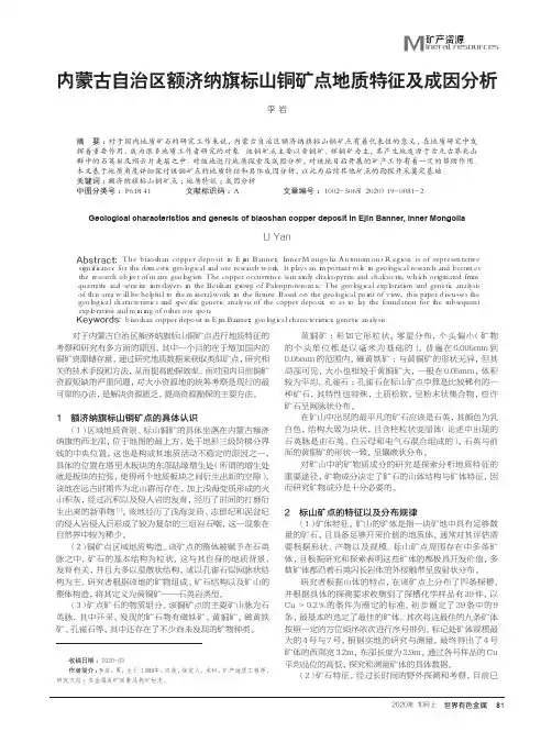 内蒙古自治区额济纳旗标山铜矿点地质特征及成因分析
