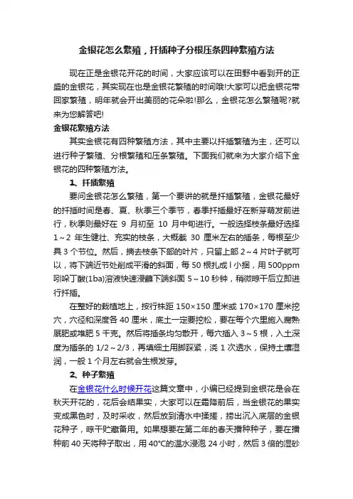 金银花怎么繁殖，扦插种子分根压条四种繁殖方法