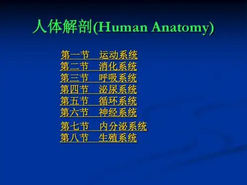 人体解剖Human Anatomy汇总