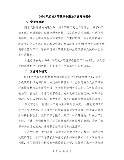 2024年度城乡环境综合整治工作总结报告