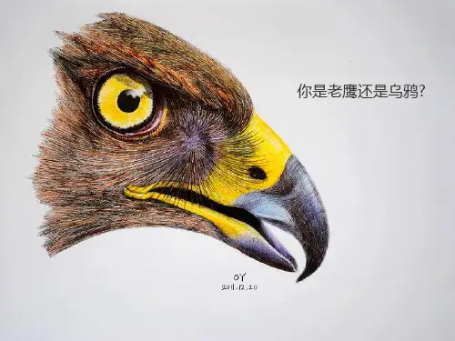 合作创业者必备的心态概述PPT(40张)