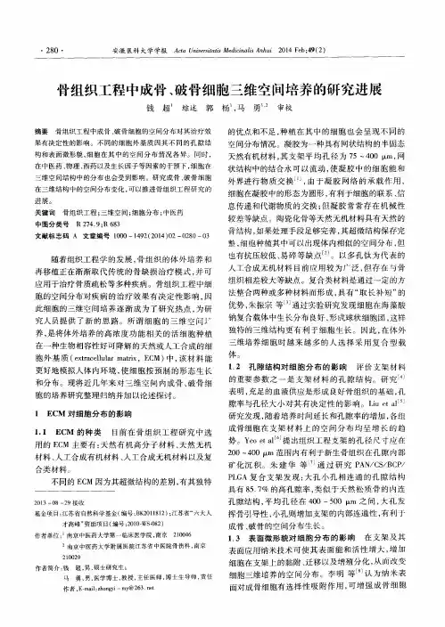 骨组织工程中成骨、破骨细胞三维空间培养的研究进展
