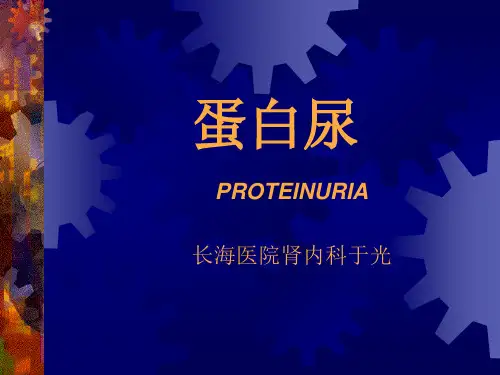 蛋白尿