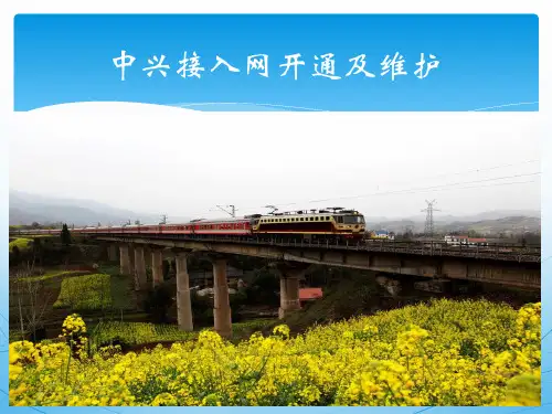 中兴接入网开通及维护资料