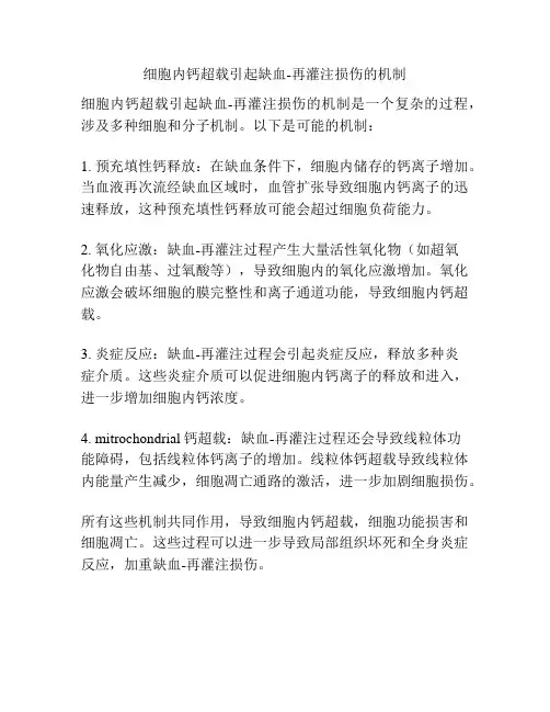 细胞内钙超载引起缺血-再灌注损伤的机制