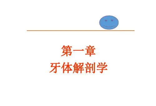 乳牙(老课件)