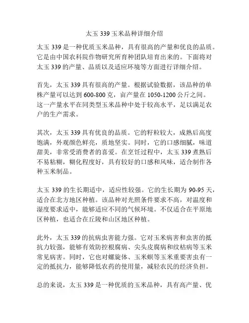 太玉339玉米品种详细介绍