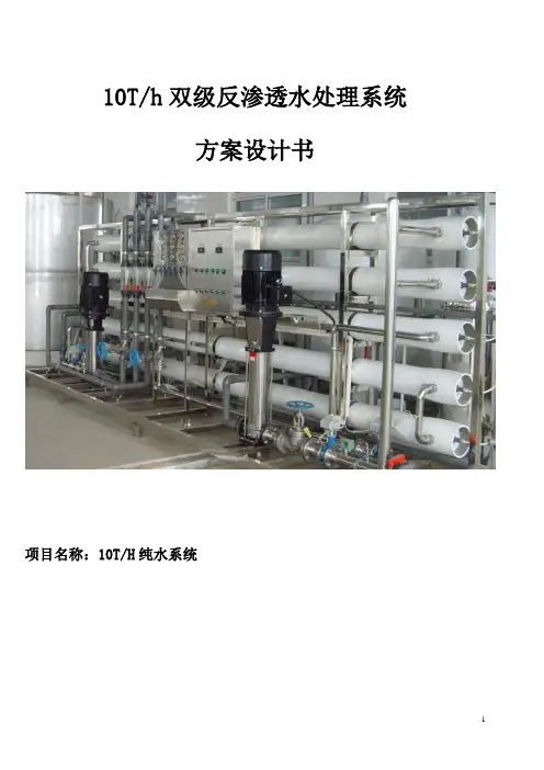 10吨双级反渗透方案.