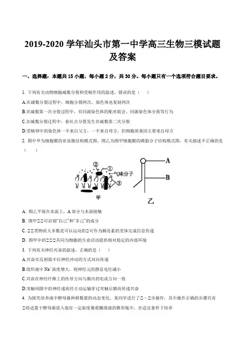 2019-2020学年汕头市第一中学高三生物三模试题及答案