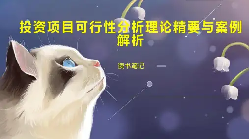 投资项目可行性分析理论精要与案例解析