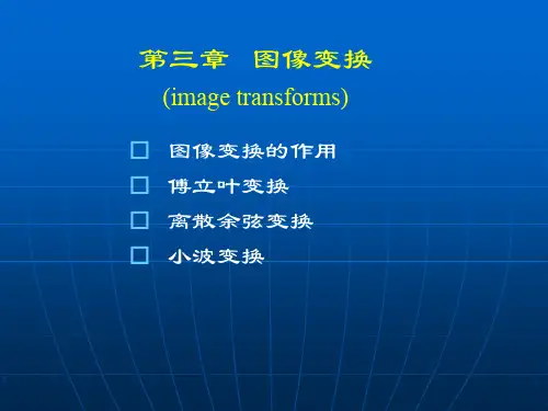 医学图像处理第3章图像变换3.2 医学图像的灰度变换