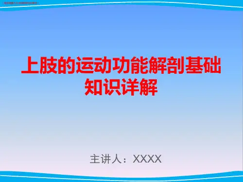 (医学健康)上肢运动功能解剖基础知识详解(医学健康行业讲座教学培训课件)