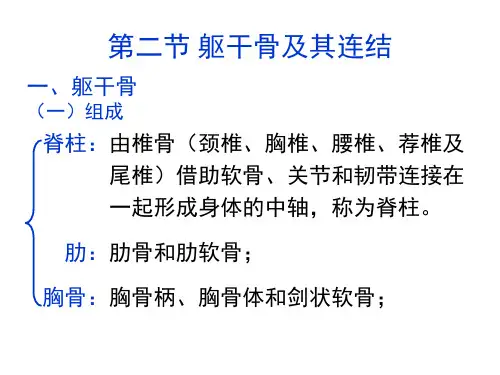 运动系统 第二节 躯干骨及其连结