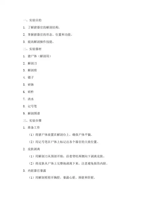 猪器官解剖实验报告
