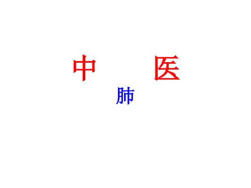 中医基础---肺PPT课件