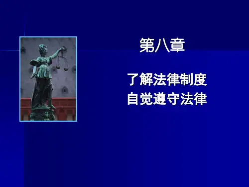 《思想道德修养与法律基础》第八章演示教学