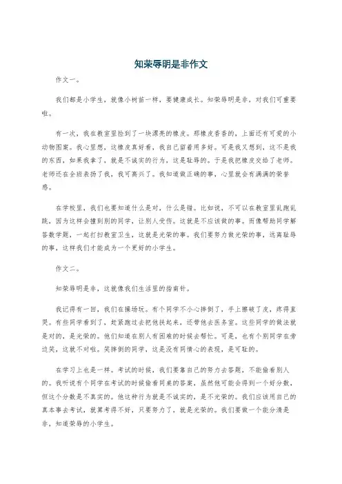 知荣辱明是非作文