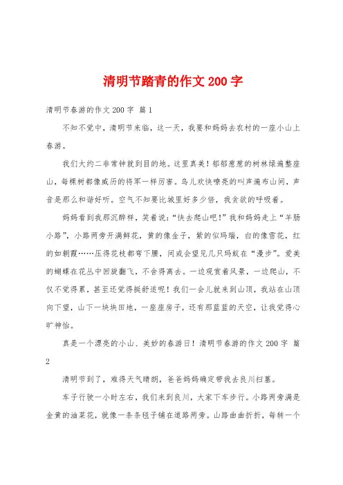 清明节踏青的作文200字