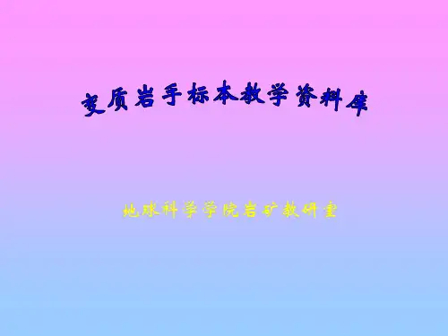 变质岩识别(附图片)