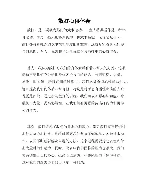 散打心得体会