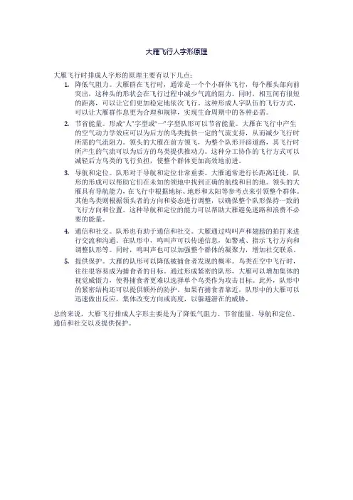大雁飞行人字形原理